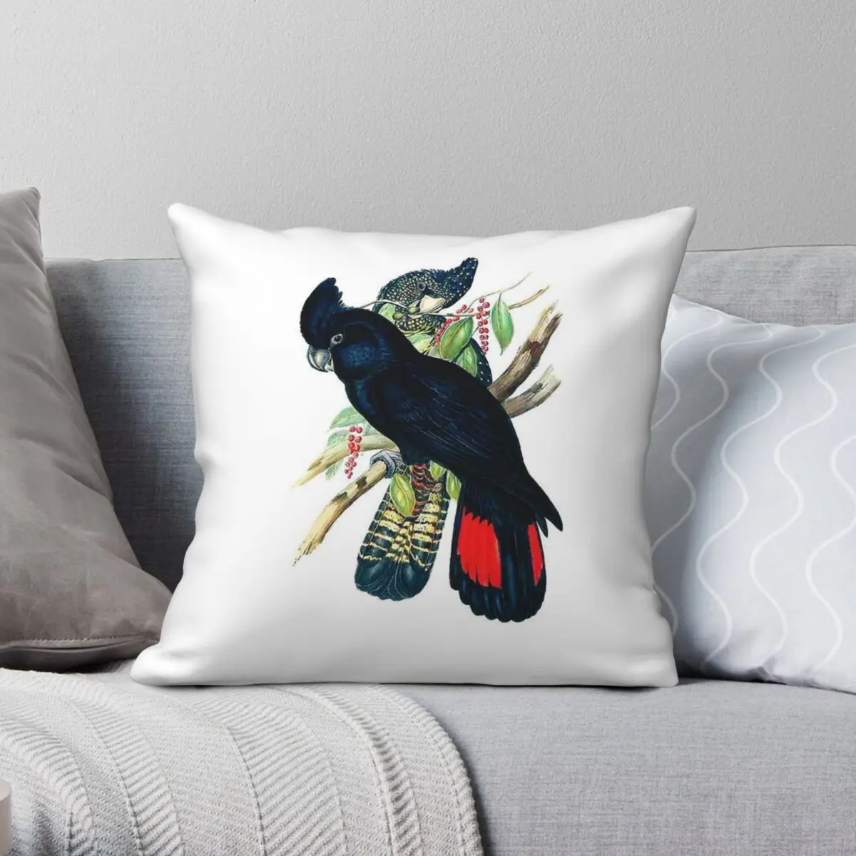 Red-tailed Black Cockatoo Square Pillowcase Polyester Linen Velvet Printed Decorative Throw Pillow Case Bed Cushion Case 45x45