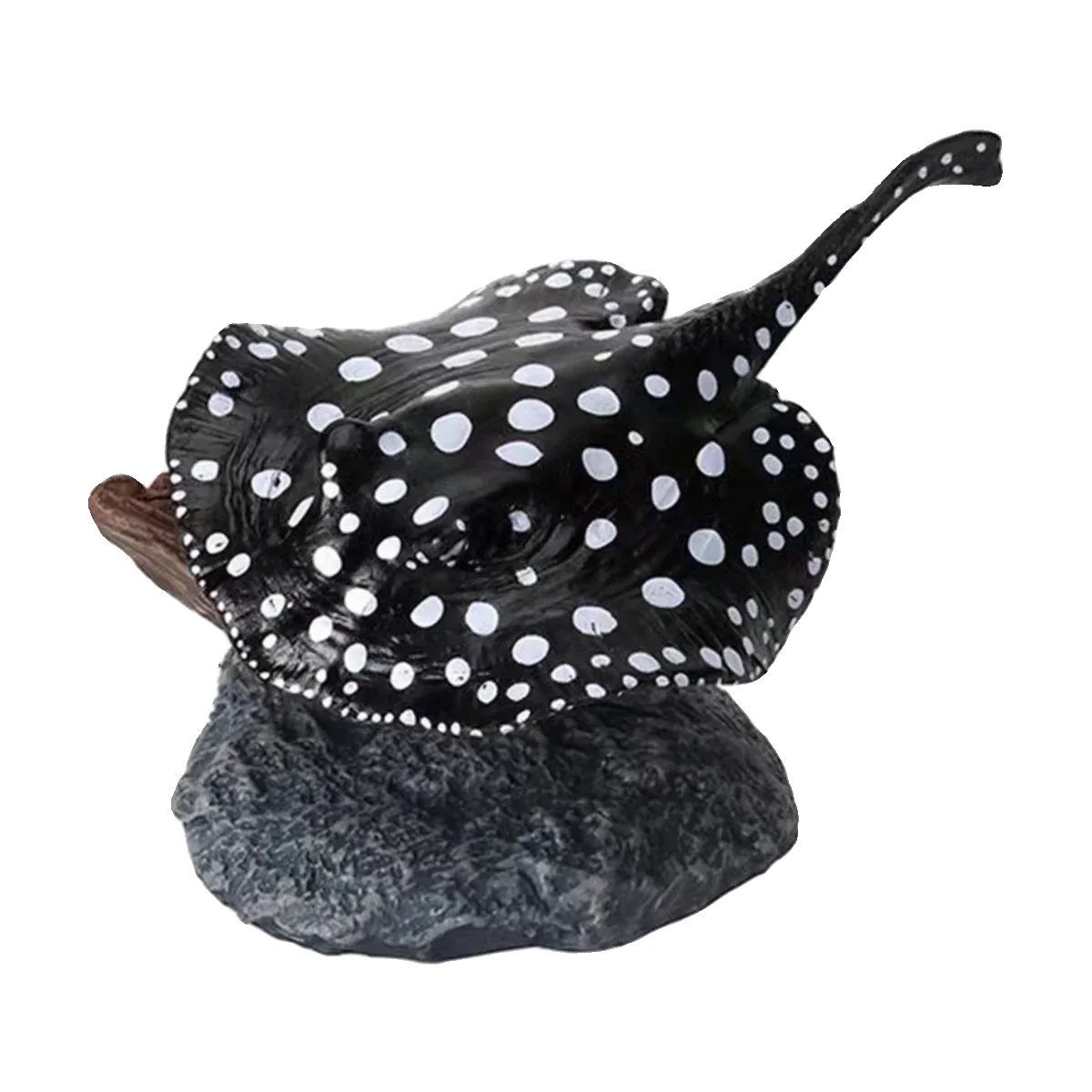 Alte Fische Meeresbewohner Gacha Maßstab Modell Biologische Simulation Kognitives Modell Action Figur Spielzeug Neu