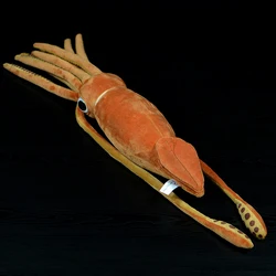 78/130CM New Squid Stuffed Plush Toy Atlantic giant Squid Doll Animals Simulation Real Life Architeuthis dux Soft Gift