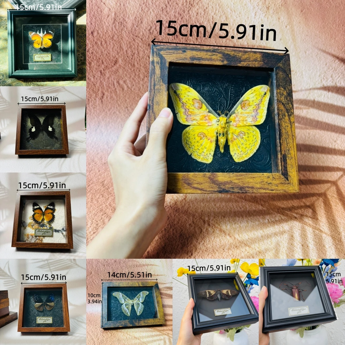 2105 Wholesale Assorted Framed Moth Butterfly Craft Ornament Collection Vintage Shadow Box Wall Art Handmade Decor Set For Gift