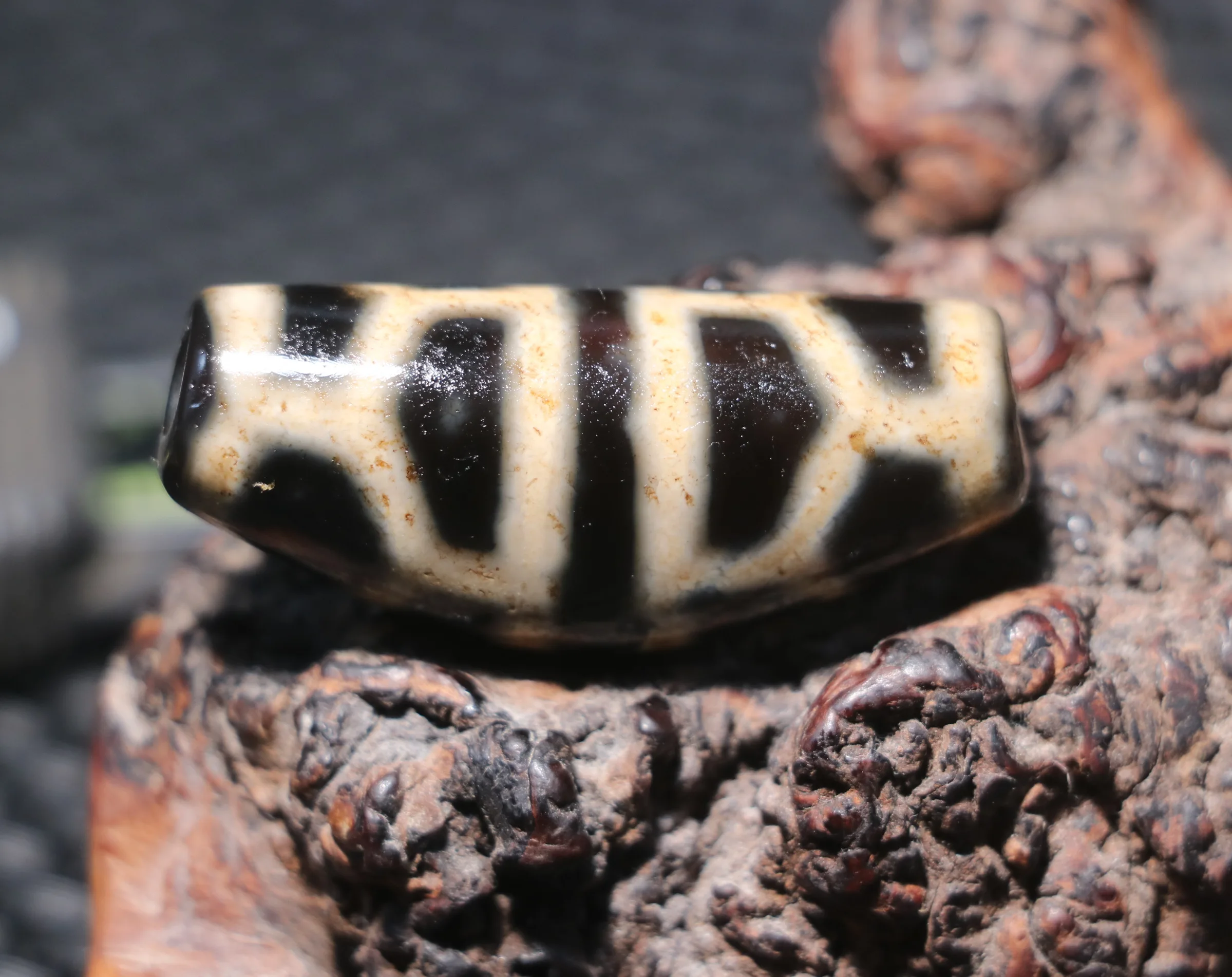 Magic Energy Tibetan Top Old Agate Turtle Shell Longevity Ox Horn Shape dZi Bead Pendant Amulet For Jewelry Amulet Timestown