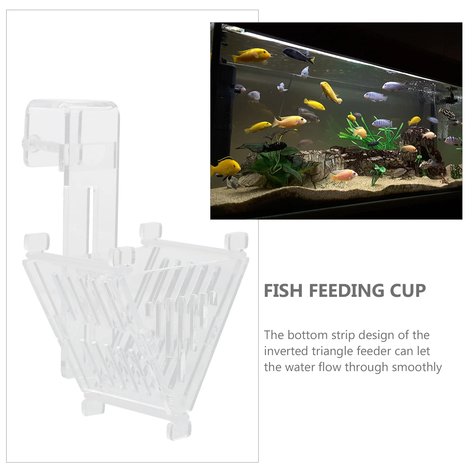 

1pcs Red Acrylic Fish Feeding Cup Taper Design For Aquarium Feeder Tool Fish Tank Food Holder Accessory Pets Supplies