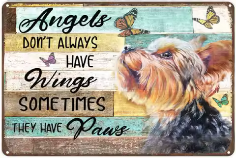 Funny Novelty Metal Sign Angels Don’T Always Have Wing Sometimes They New Paws Dog Yorkie Yorkshire Terrier Retro Wall Decor Pla