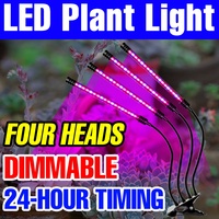 5V USB Full Spectrum Indoor Plant Lamp LED Hydroponic Seeds Growth Box Succulent Cactu Potted Cultivate Lighting Dimming Timing
