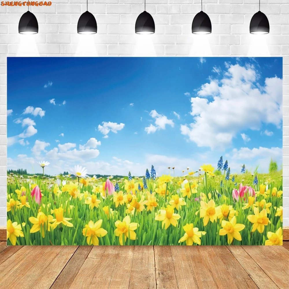 Spring Natural Landscape Backdrop Photography Blue Sky White Cloud Sunshine Green Grass Flowers Scene Background Photozone Props