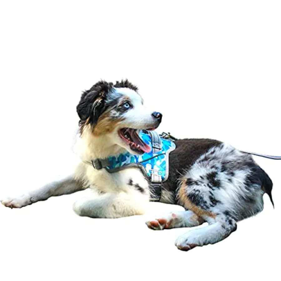 

No Pull Dog Harness, Adjustable Straps for Custom Fit, Compatible with Dog Wheelchair, Breathable Mesh Lining for Comfort