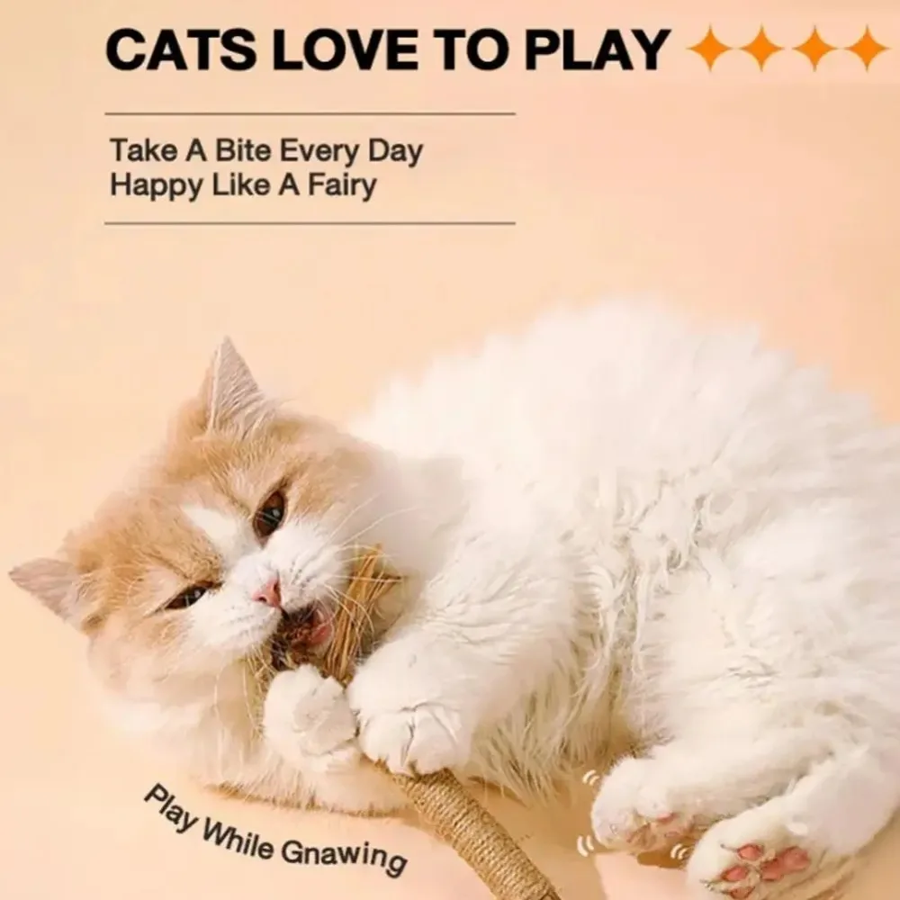 3-шт Silvervine Polygonum Cat жевательная палочка конопляная веревка игрушка для ухода за зубами с рафийной травой для чистки зубов котенка