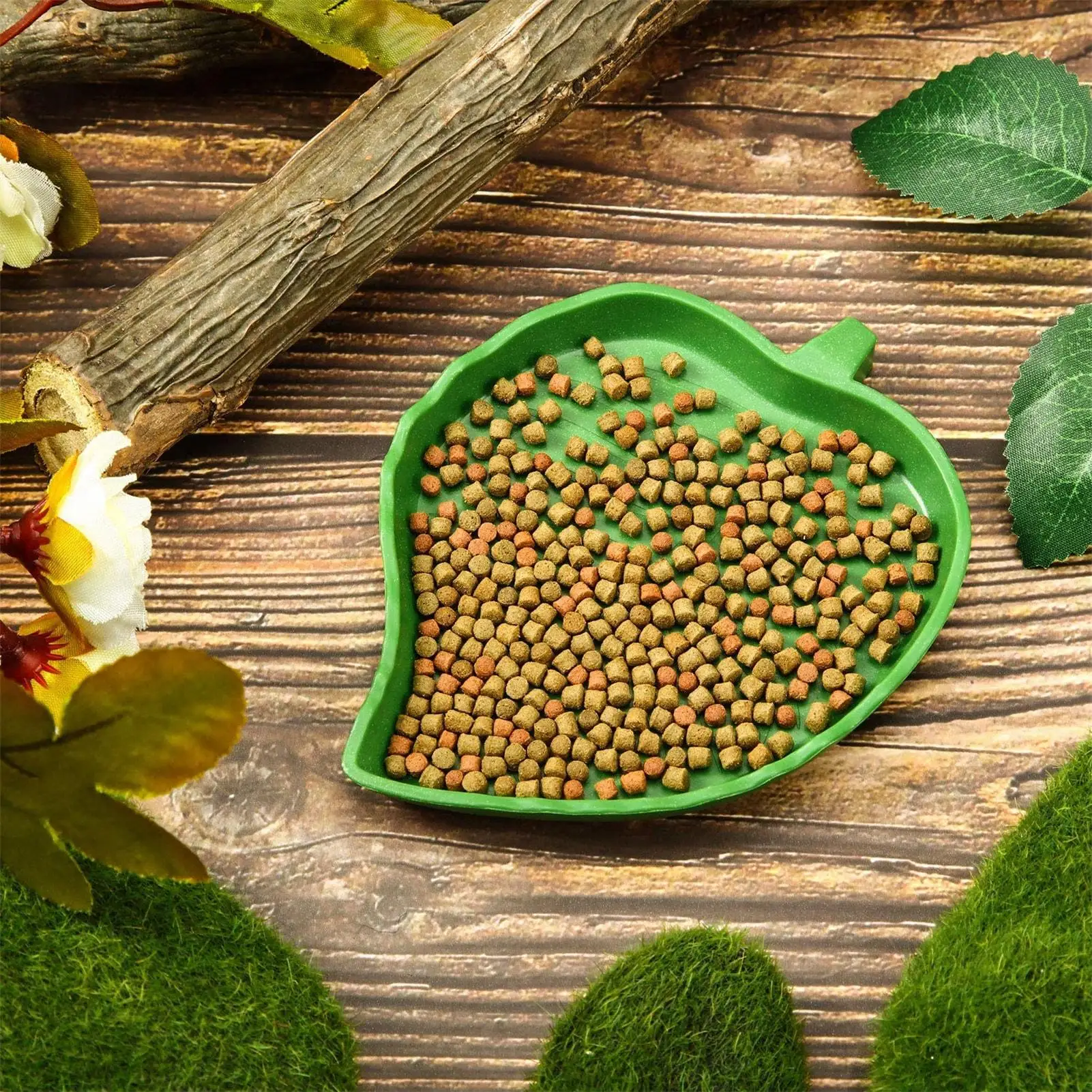 Reptile Food Water Bowl Reptil - огляд і ціна Water Dish Reptile