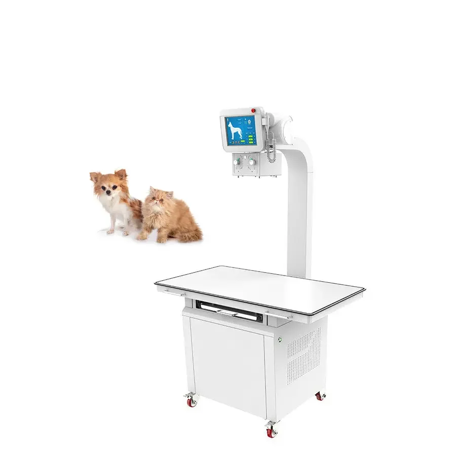 Pet Hospital Veterinary Dog Cat DR Veterinary X-ray Equipment Portable Veterinary Digital X-ray Machine Price