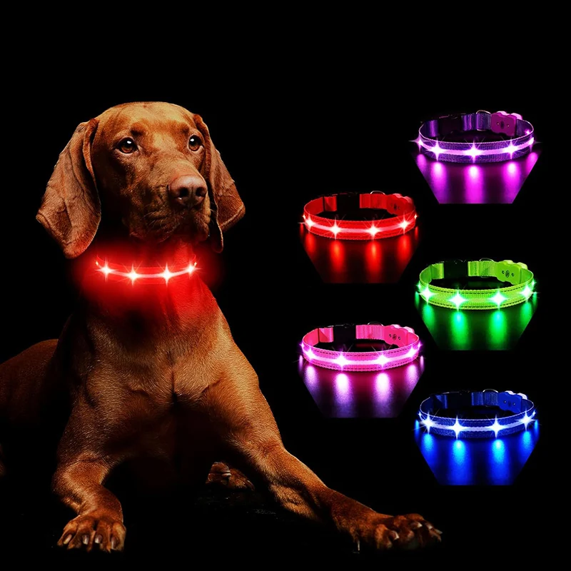 

Dog Collar Nylon LED Night Safety Flashing Glow In The Dark Pet Dog Leash pet Dogs Luminous Fluorescent dog accessories collar