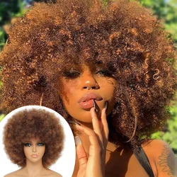 Synthetic Afro Kinky Curly Wig for Women Black 70s Bouncy and Soft Afro Puff Wigs Natural Looking Full Wigs for Party Cosplay
