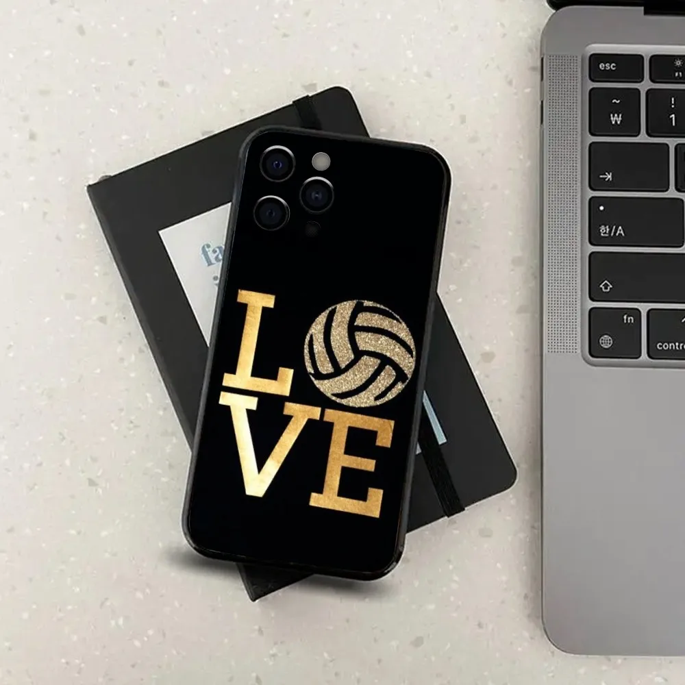 Volleyball Painted Phone Case For Apple iPhone 15,14,13,12,11,Pro,X,XS,Max,XR,Plus,Mini Soft Black Cover