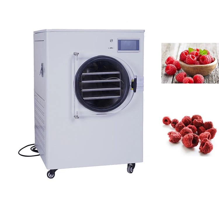 Medium Multifunctional Freeze Dryer Machine for Fruit and Vegetable Vacuum Freeze Dryer for Food Processing Lines