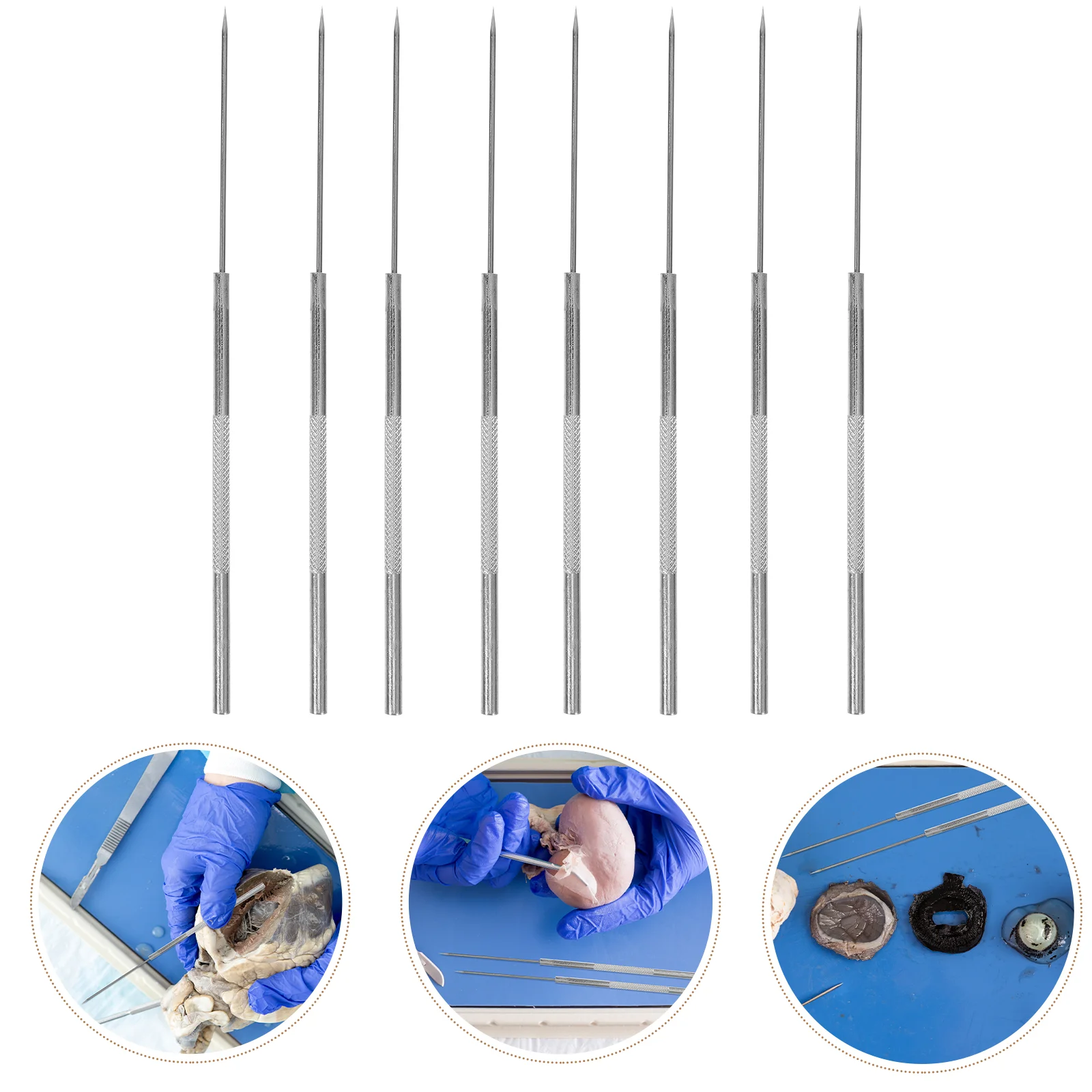 8 Pcs Experimental Dissecting Needle Biology Laboratory Anatomical Equipment Biological Specimen Tools Metal Dissection