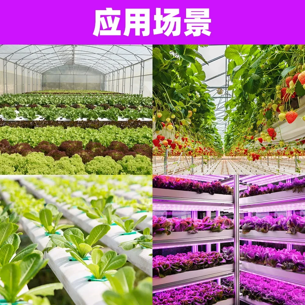 

Full Spectrum LED Growing Lamps Indoor Seedling Cultivation Succulent Filling Lamp Greenhouse Greenhouse Vegetable Planting Lamp