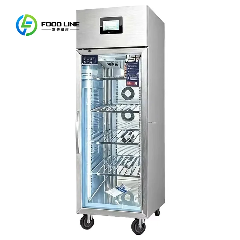 Commercial Meat Defrosting Machine Electrostatic Thawing Cabinet Efficient for Pork Lamb Beef Restaurant Supermarket Use