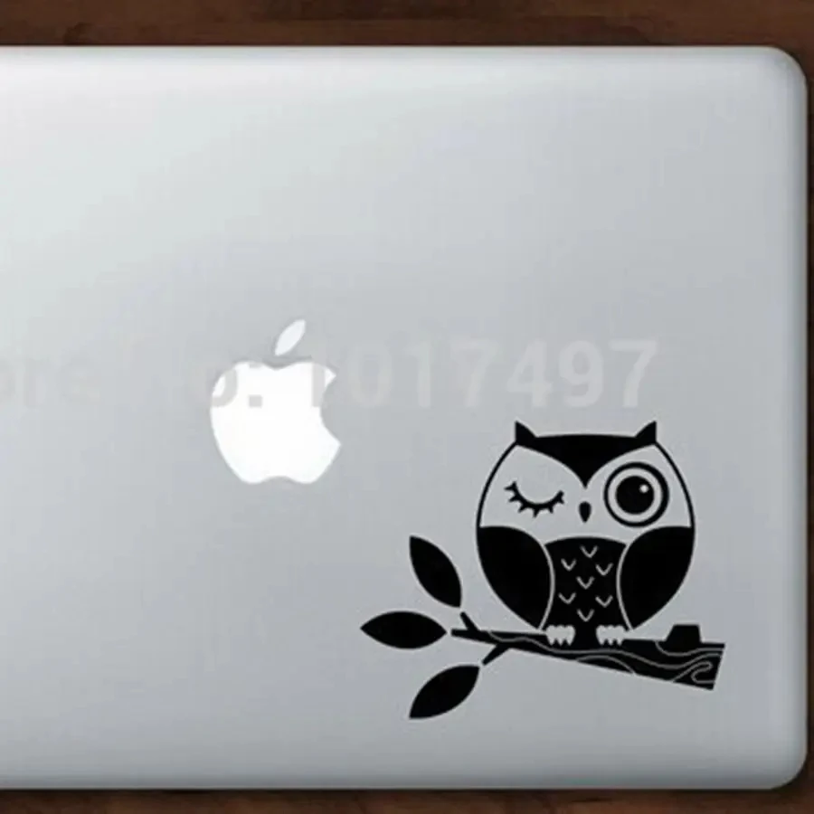 Small Size Cute Owl Stickers , Vinyl Owl On Branch Decals For Girls Laptop Car Bathroom Home Decoration