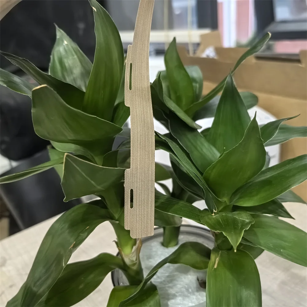 

604K62200 604K94280 604K62210 Лист нагревательного ремня фьюзера для Xerox WorkCentre WC 7525 7530 7535 7545 7556 7830 7835 7845 7855