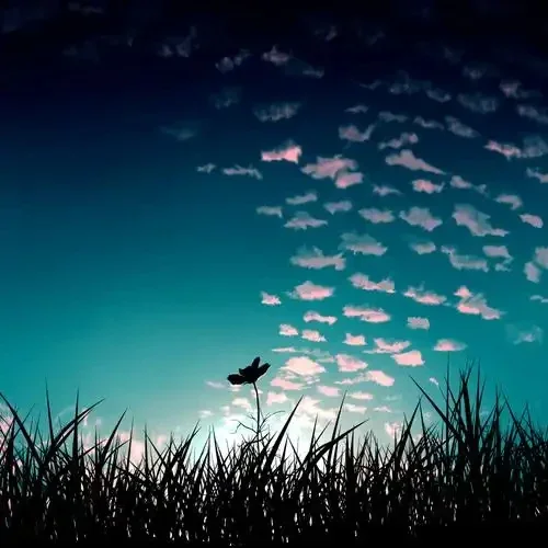 

Автомобильный держатель для очков, многофункциональный зажим для хранения солнцезащитной доски для Maxus T60 D60 D90 2022 D20 T70 T90 G10 G20 G50