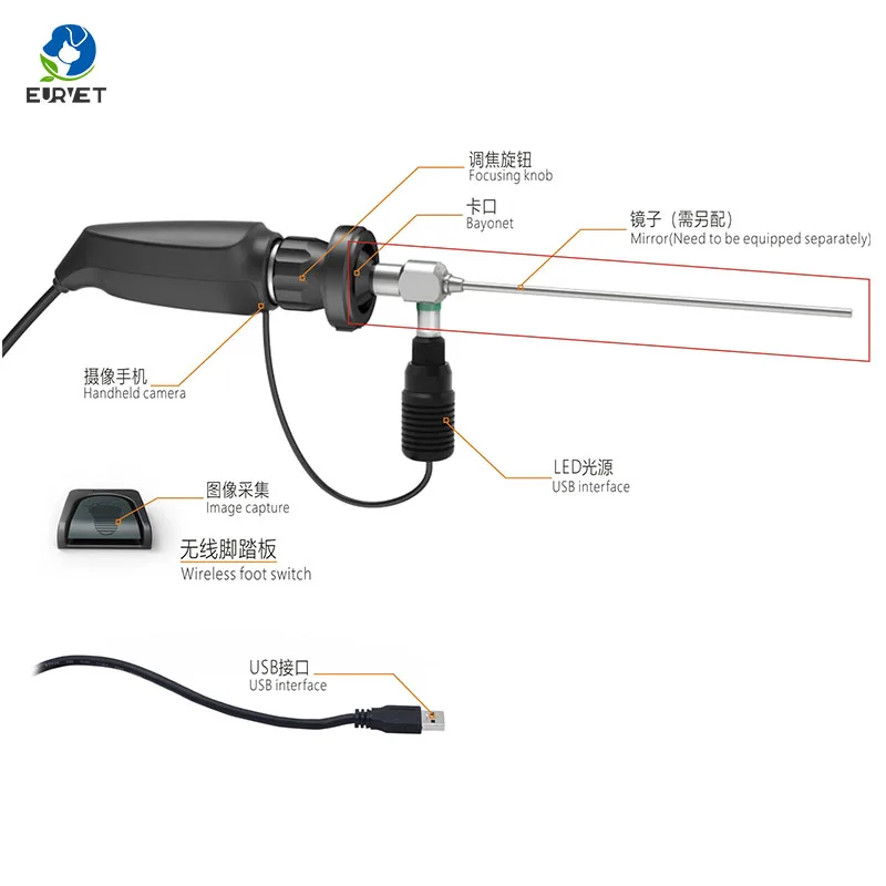 

European Pet Stable Quality Veterinary Cystoscope Veterinary Equipment Portable Endoscope