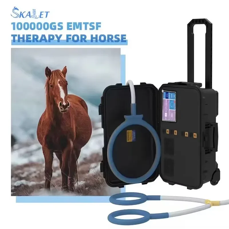 for MagicBelle Desktop PEMF Magnetic Therapy Device Loop Design for Pain Relief for Humans Animals Hands Target US AU