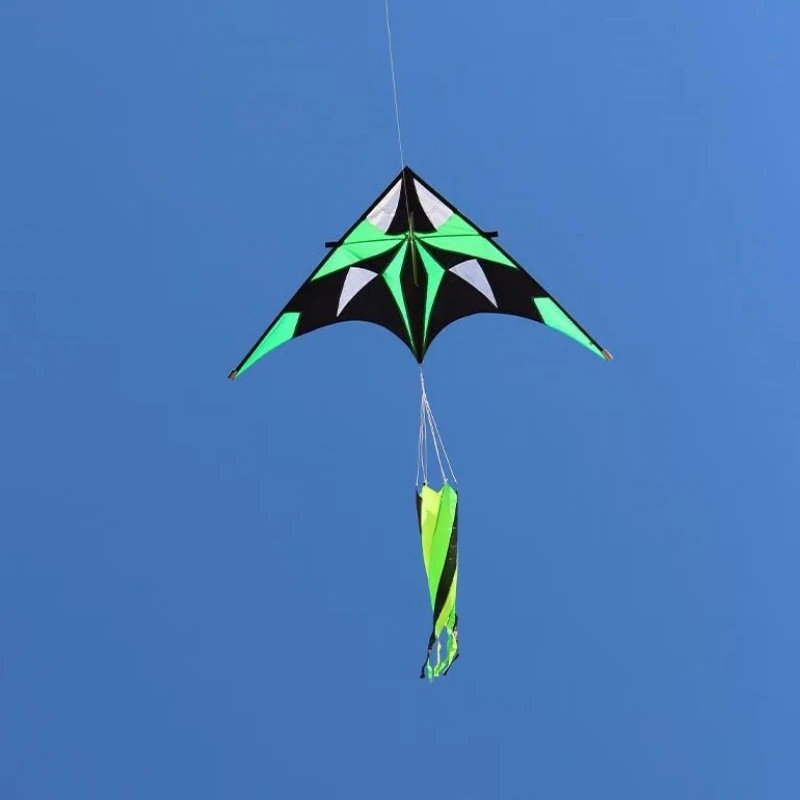 Free Shipping New Delta kites flying for kids kites factory professional kite colorful flying kites Pocket vargina Dragon wind