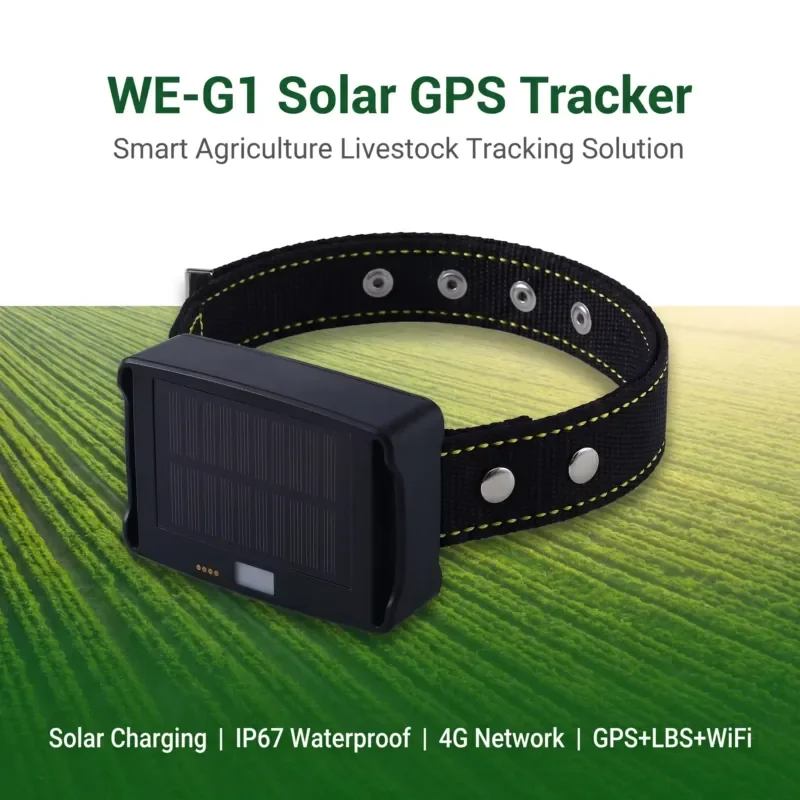 Manufacturer 4G LTE Solar Powered GPS Navigation Livestock Tracker 25000mAh Long Life Battery IP67 Waterproof Real-Time