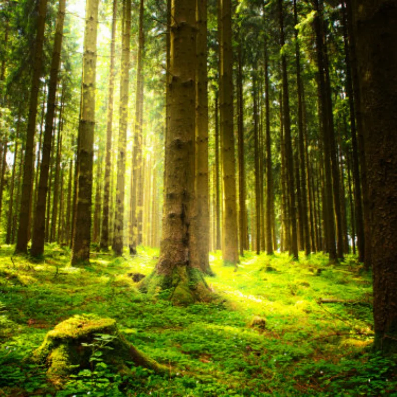 

4 шт. металлический передний и задний приводной вал CVD для ARRMA 1/10 3S Big Rock V2 Granite Senton Vortecks RC Car Upgrade Parts