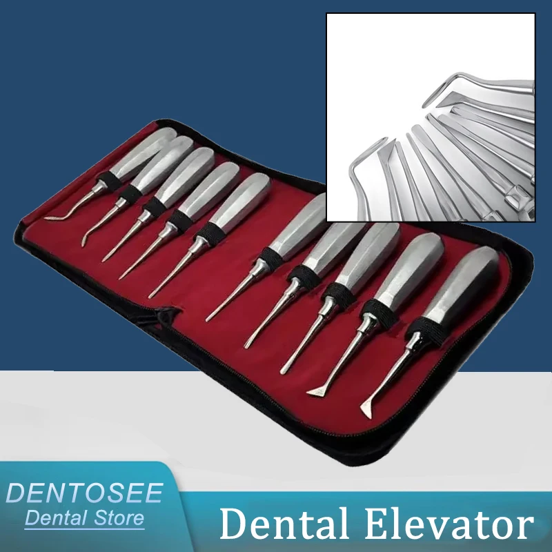 

10pcs Dental Stainless Steel Elevator Teeth Extraction Tool, Curved Root Lift Elevator for Precision Tooth Extractions