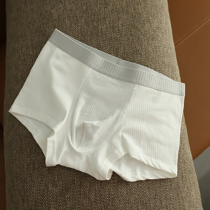 Sous-vêtements sexy en pur coton côtelé pour hommes, boxer respirant à haute élasticité, boxer masculin confortable, culotte de lingerie, document