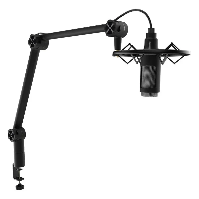 Microphone holder Desktop universal folding cantilever live broadcast k song microphone holder anti-shake audio shock-proof