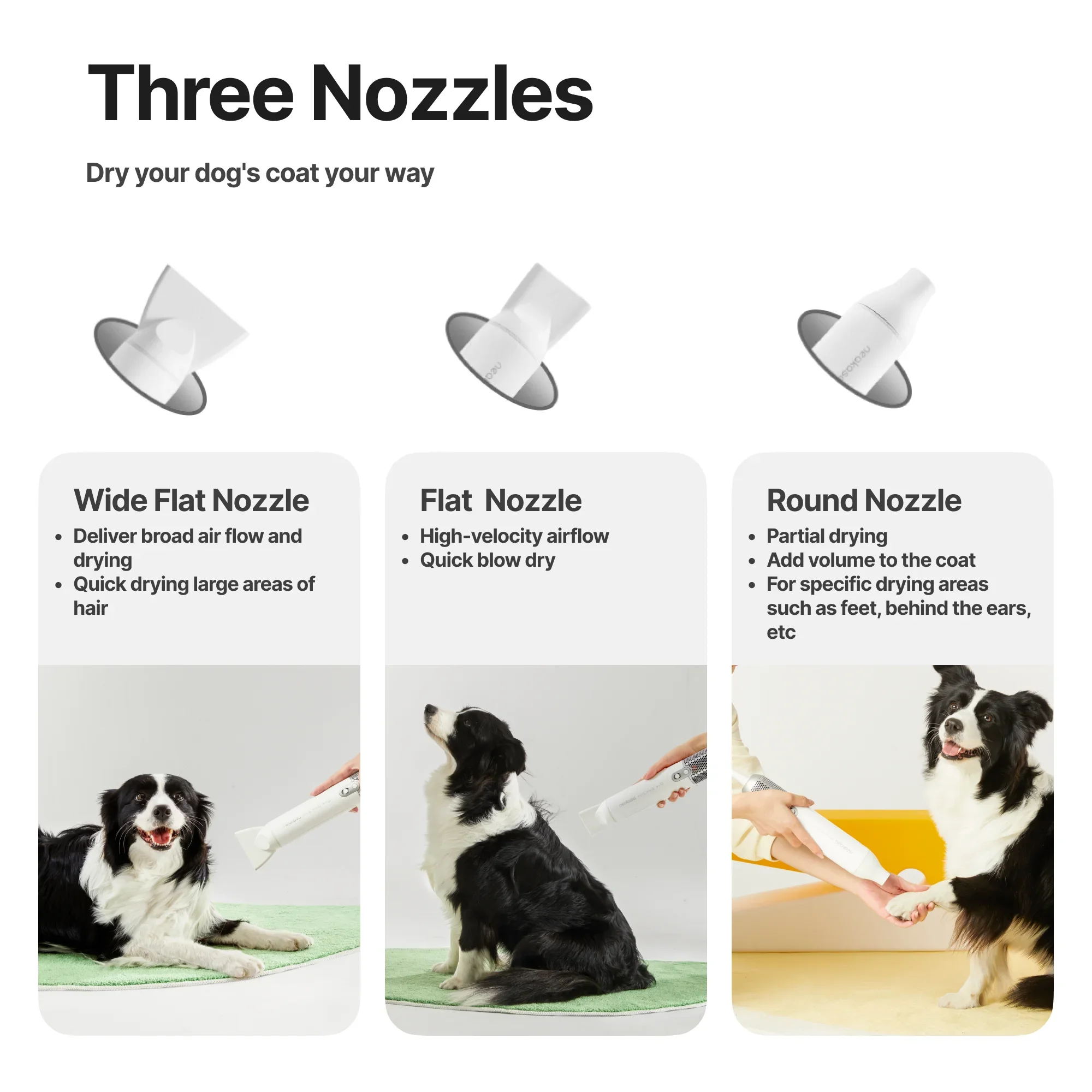 Neakasa (FKA Neabot) Low Noise Temperature 3 Level Portable Pet Grooming Handheld Dog Hair Blower Dryer