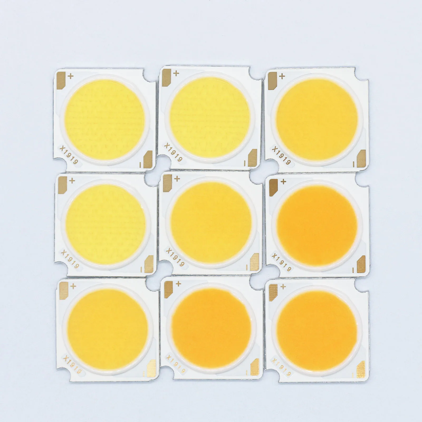 15pcs LED COB LED Light-Emitting Diode LED Source Bridgelux Chip 10W 20W 30W 40W 50W 19*19mm CRI≥90 For Spotlight Downlight DIY