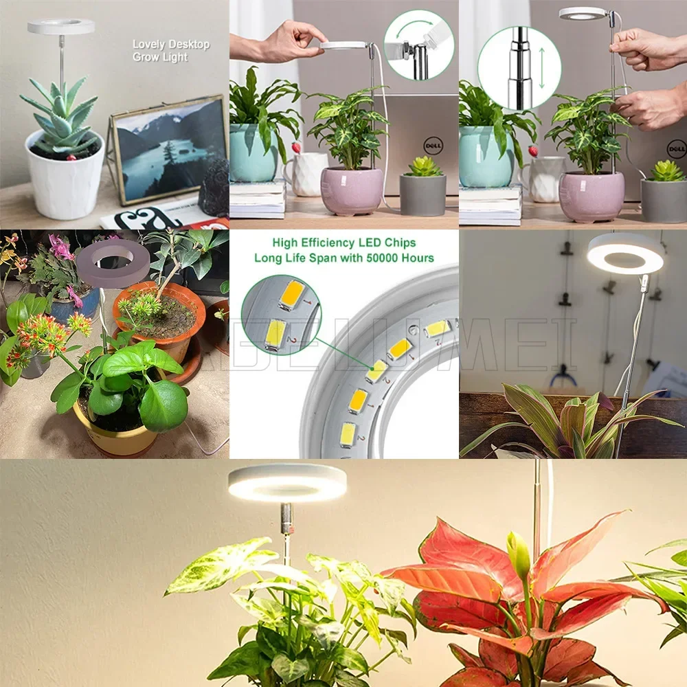 エンジェルリング付き格納式LED植物ライト,多肉植物成長ライト,フルスペクトル,フラワータイマー,屋内充填ランプ,5V