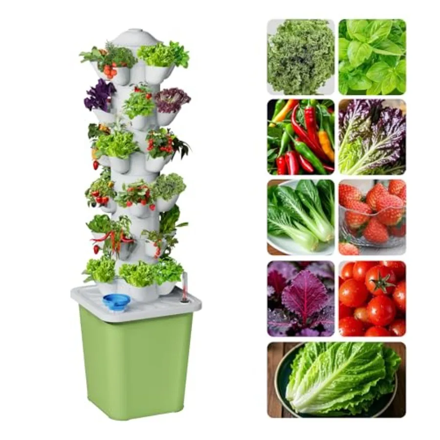 

Hydroponics Growing System Kit 30 Pots Vertical Garden Planter with Pump and Timer for Soilless Cultivation Herbs Fruits Vegeta