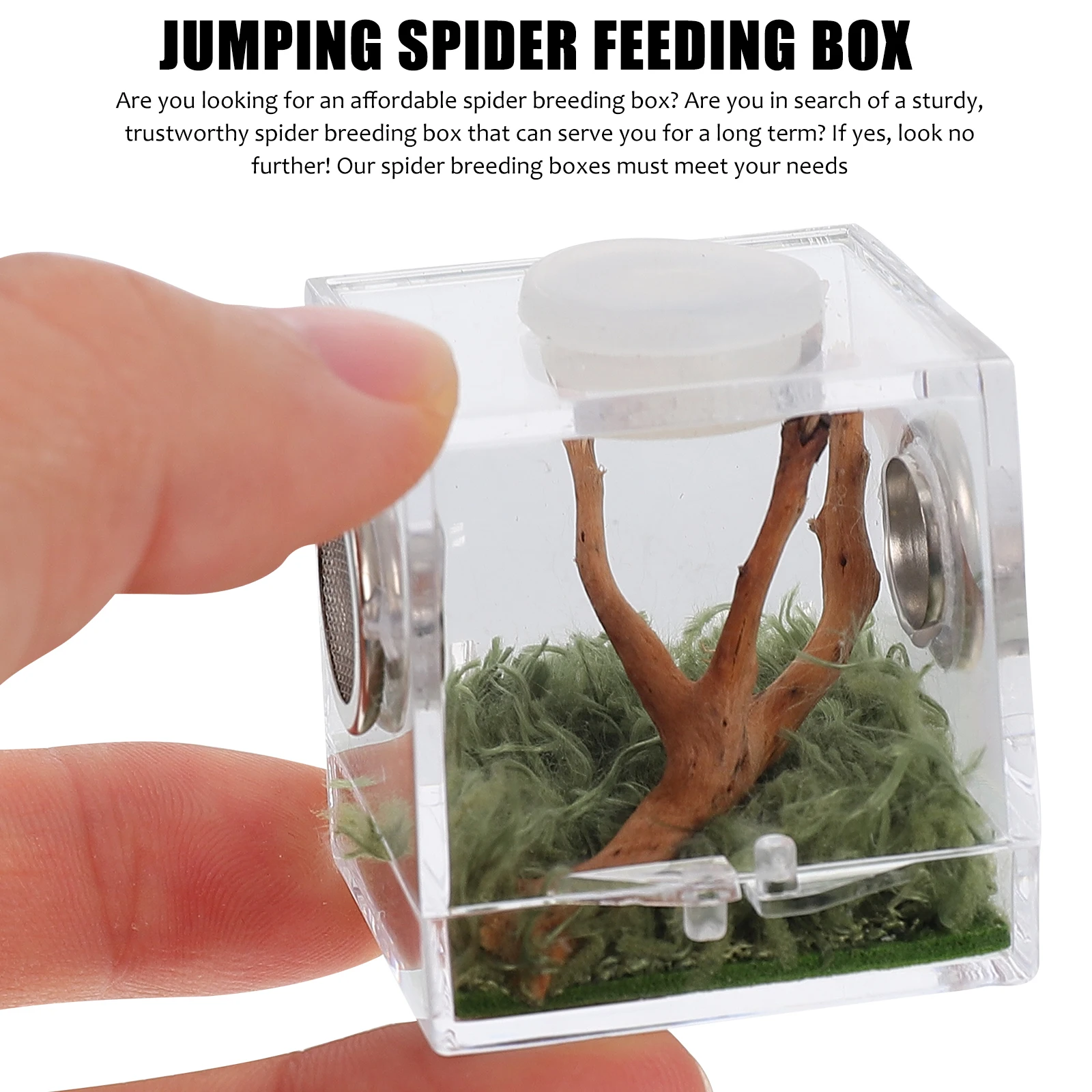

Spider Habitat Box Small Lightweight Breeding Enclosure Case for Insects Snails Beetles Reptile Container Pet Supplies