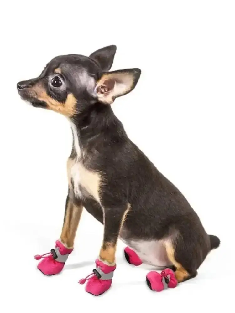 Chaussures imperméables pour animaux de compagnie, 4 pièces, antidérapantes, bottes de neige, épaisses et chaudes pour petits chats, chiens, chiots, chaussettes, chaussons, nouvelle collection