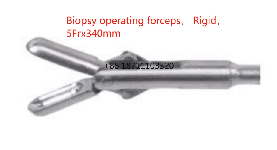 

5Fr 1.6mm 4Fr 1.2mm Biopsy Forceps Medical Gynecology Cervical Biopsy Forceps