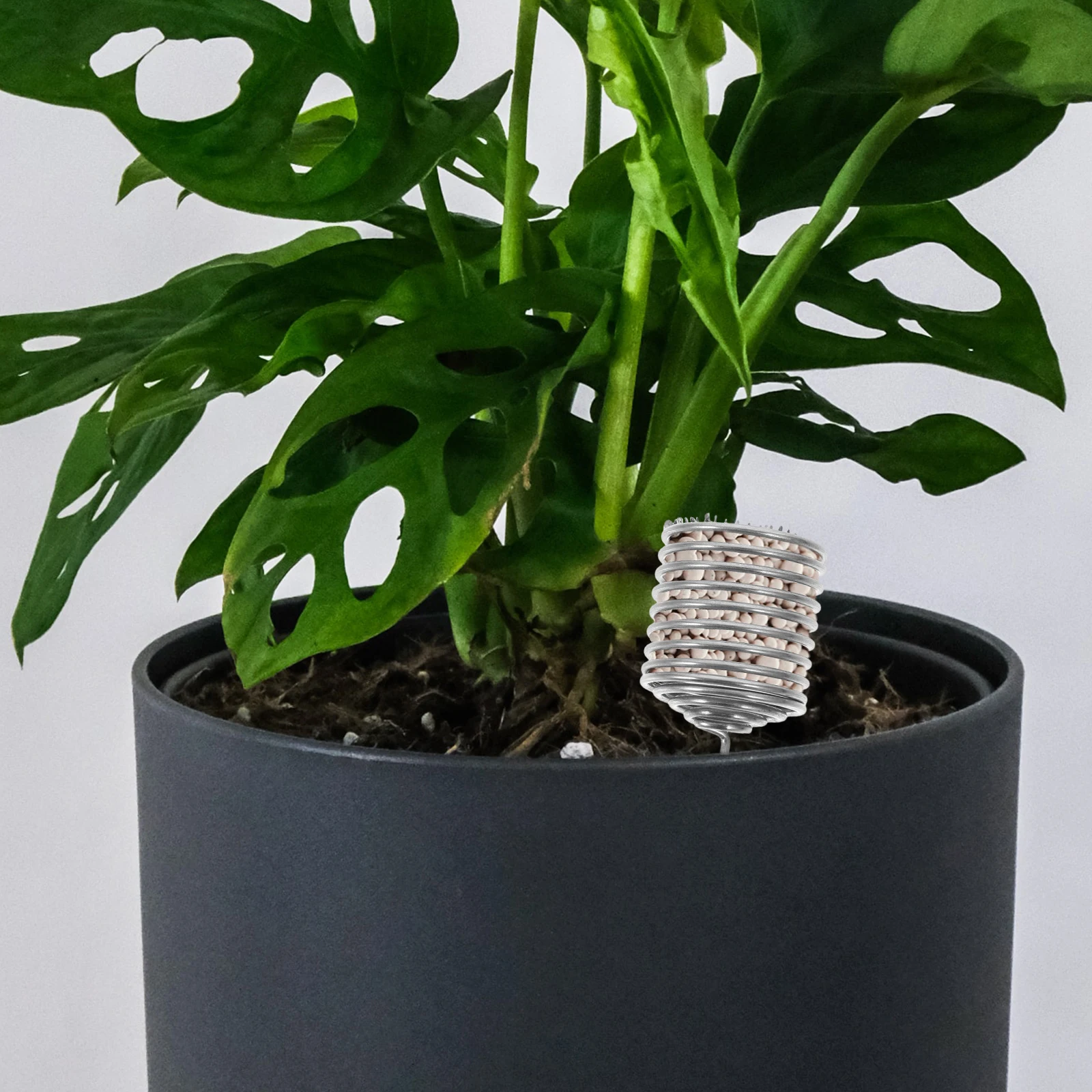 

6pcs Stainless Steel Box Reusable Gardening Container for Pot Plants Durable Basket Soil Insert Organic