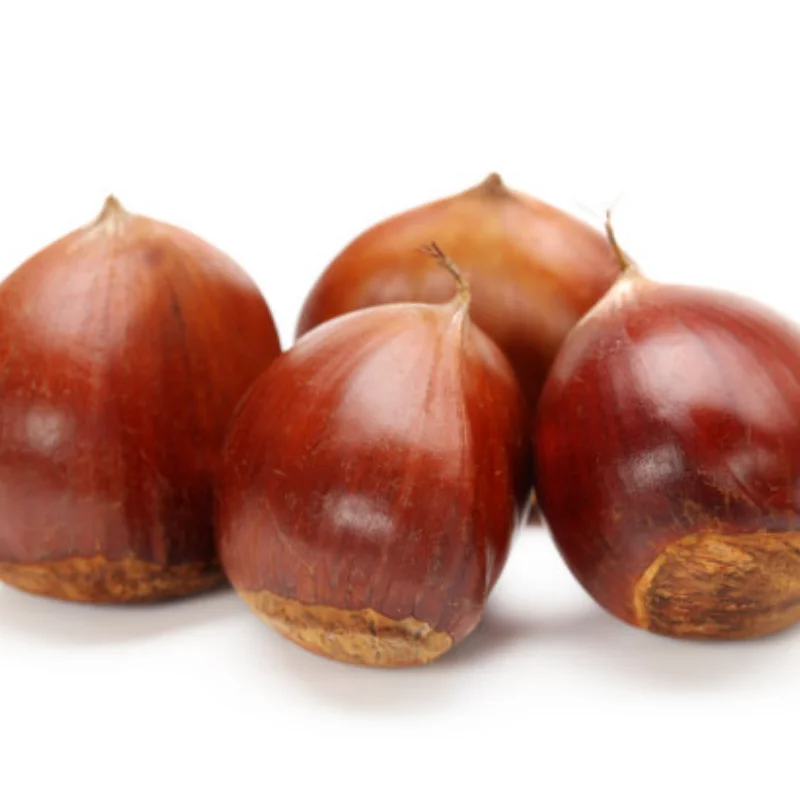 Complete Front And Rear Portal Axle Set For 1/24 RC Crawler Car Axial SCX24 Gladiator Bronco C10 Deadbolt JLU