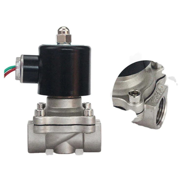 DN50 2 "التمثيل المباشر 2-Way الفولاذ المقاوم للصدأ 304/316 صمام الملف اللولبي مغلق عادة لصمامات التحكم DC24V/AC220V