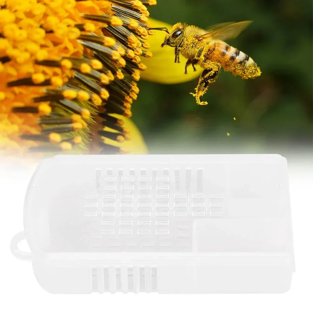 5Pcs Transparent Plastic Queen Bee Cage Beekeeping Tool Equipment Accessories