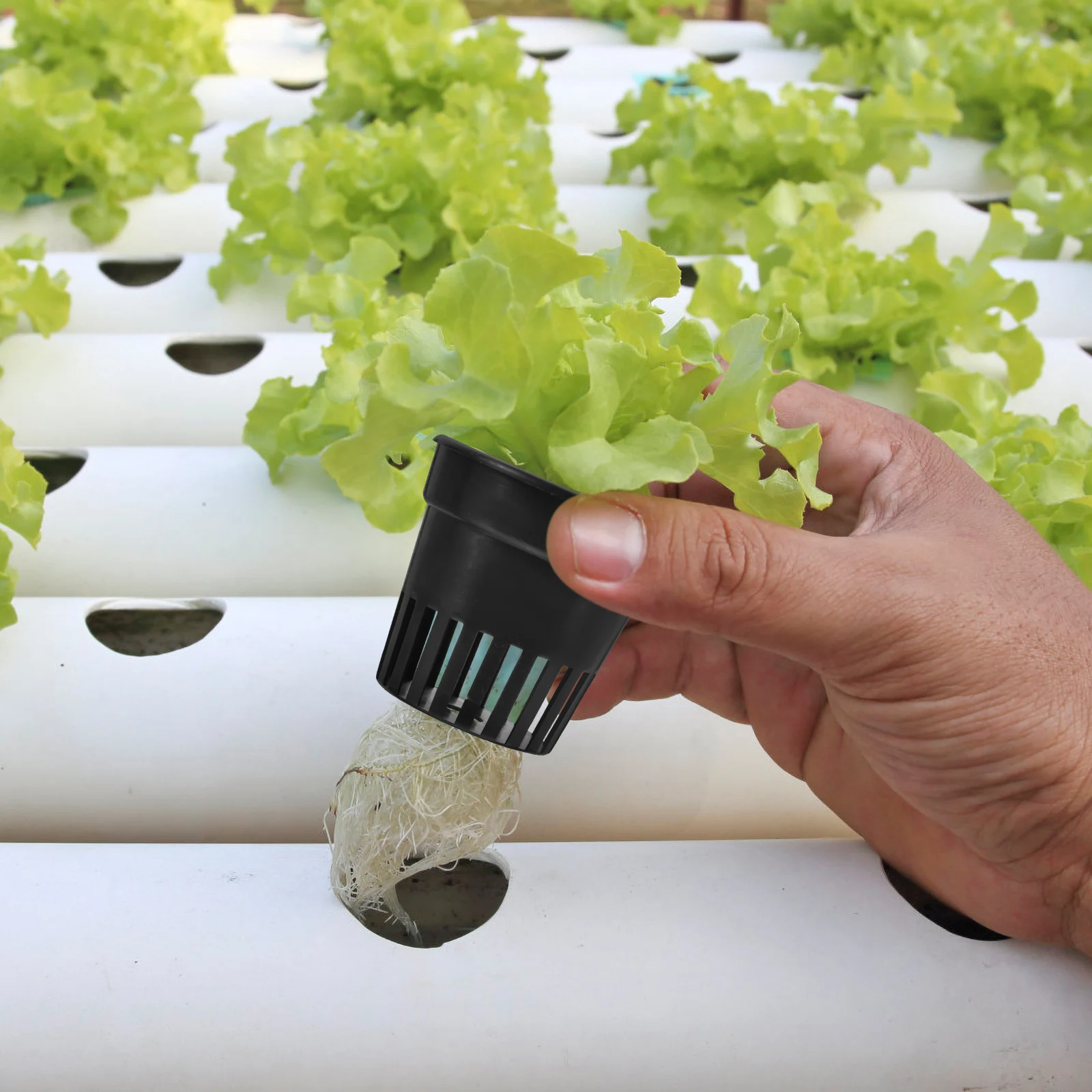 

12pcs Durable Uv Resistant For Garden Nursery Hydroponics Plastic Pot Water Plant Cups Grass Cultivation Black