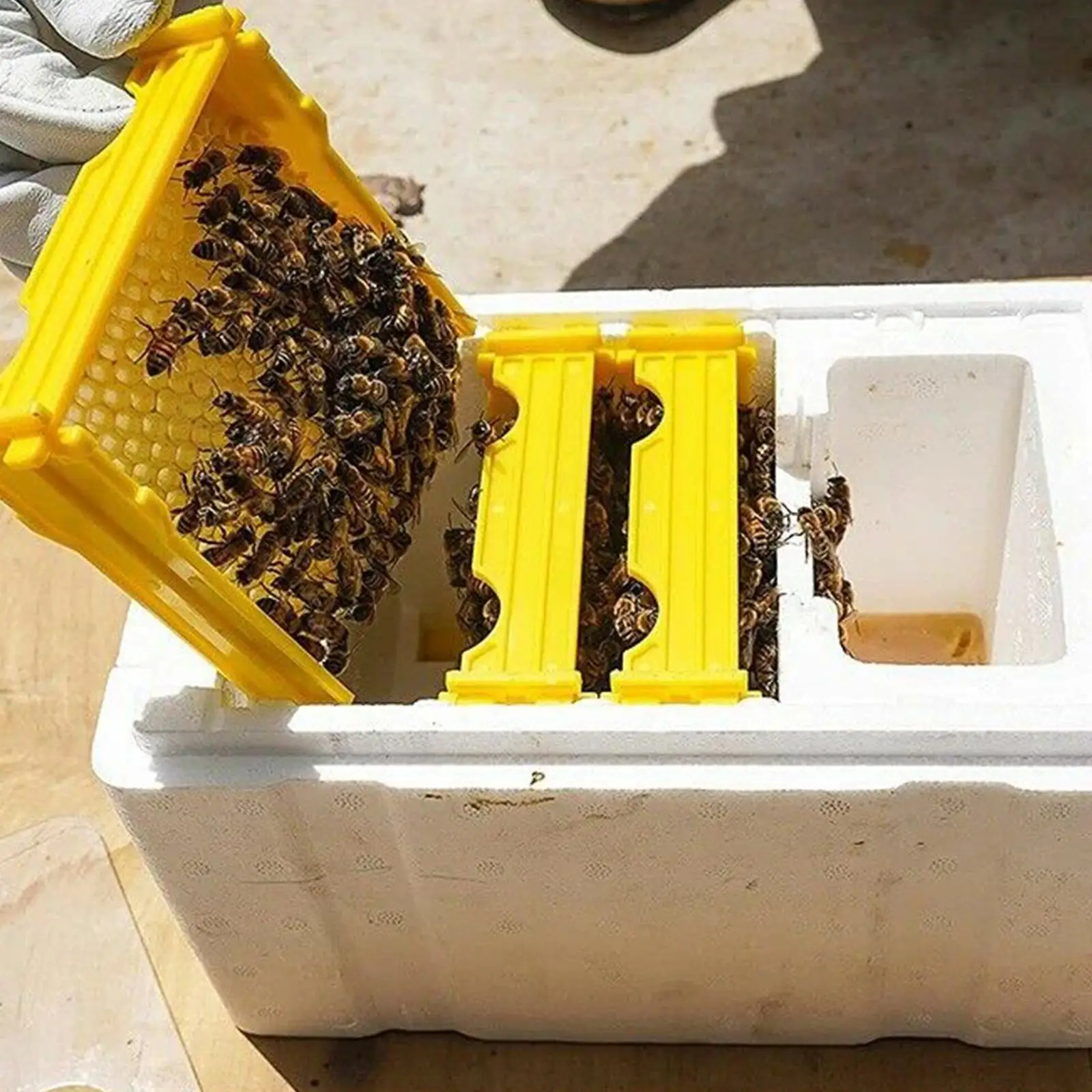 Queen Bee Breeding Box Bee Mating Box Foam Bee Hive Box Beekeeper Garden Pollination Box Bee Breeding Case Beekeeping Equipment