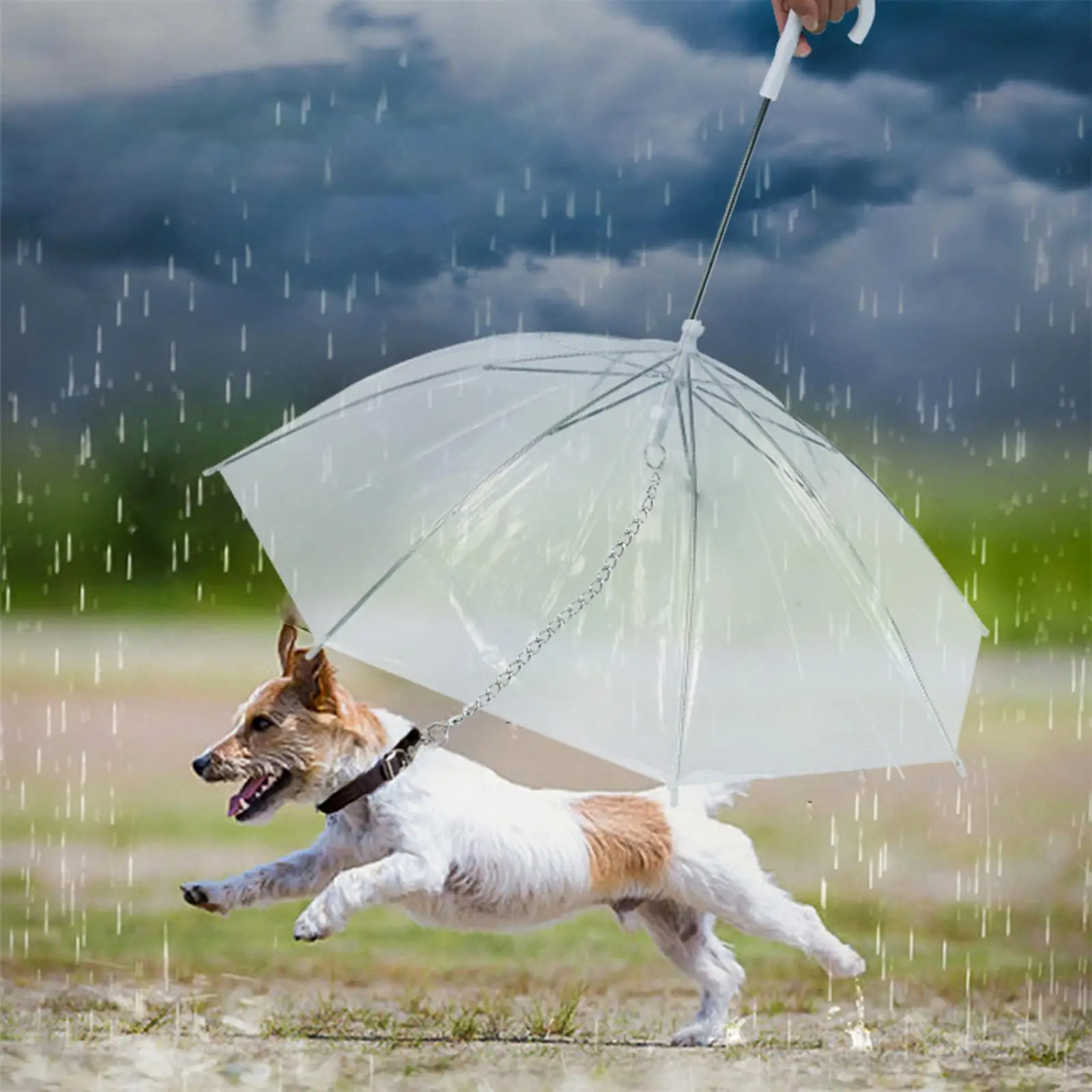 Dog Umbrella with Leash Dog Puppy Dry Walking Waterproof Keeps Pet Dry