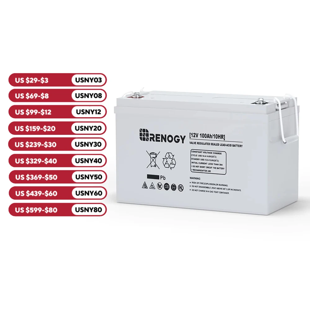 Renogy 12 Volt 100Ah Deep Cycle AGM Battery, 3% Self-Discharge Rate, 1100A Max Discharge Current, Maintenance-Free, Appliances