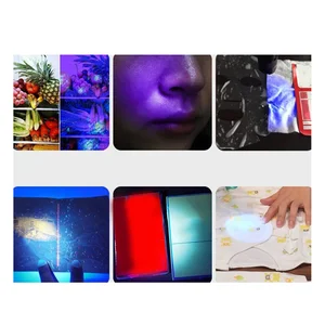UV Detection Lamp Portable Rechargeable For Residue Banknote Vegetable Fruit Detection Wide Applications-Y47A