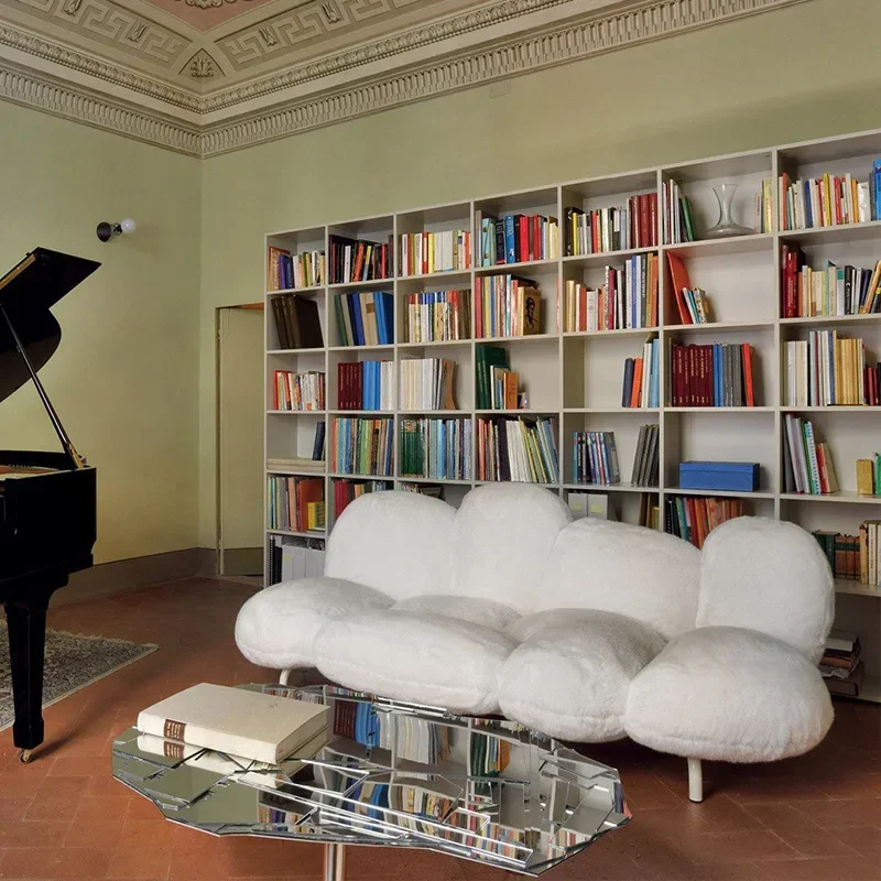 

Creative special-shaped Internet celebrity small apartment living room double plush