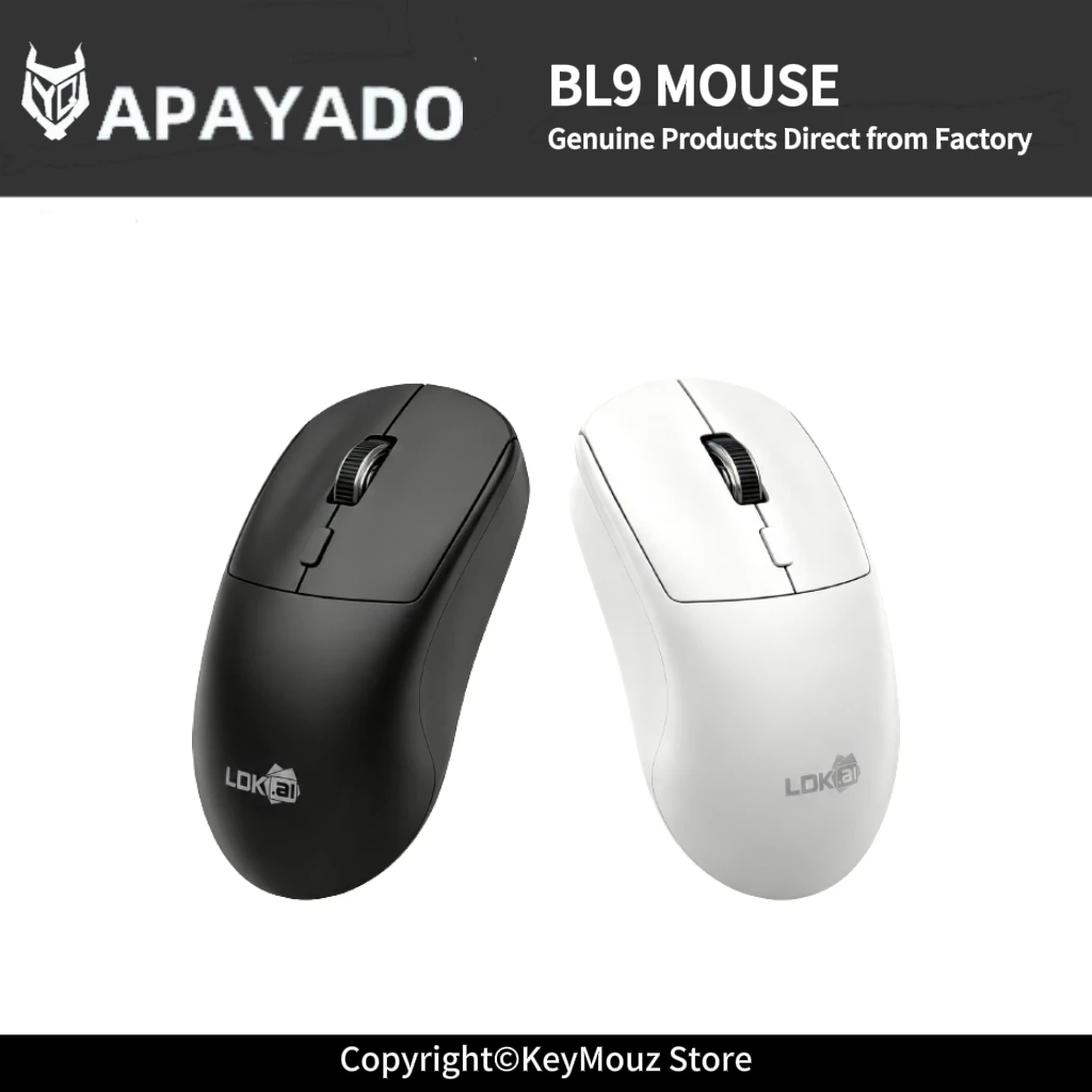 BL9 Wireless Business Mouse 2.4G Connection Long Battery Life 3 Level DPI Computer Mouse for Desktop Laptop Office