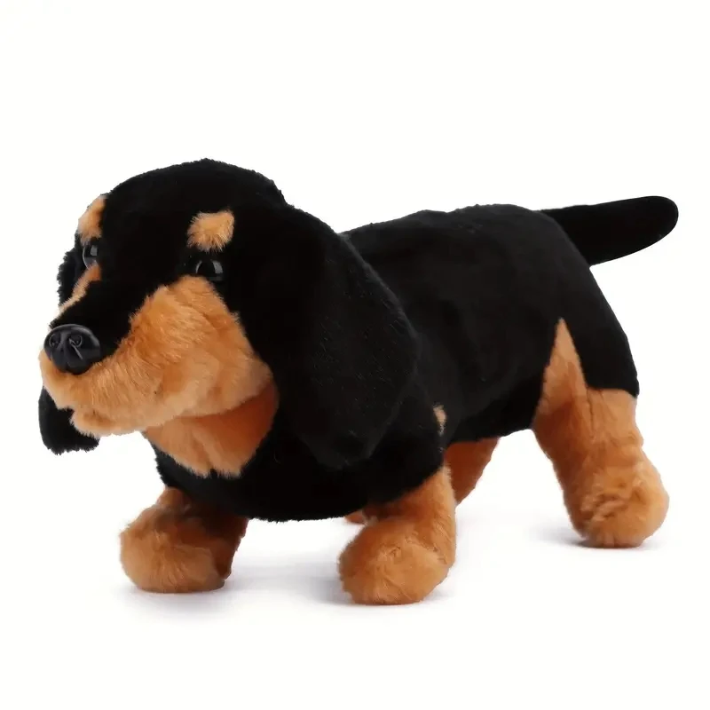 Simulare Verossilitudine bassotto Douglas Spats Black & Tan Coffee Bassotto Cane Peluche Dare bambini Brithday Gift